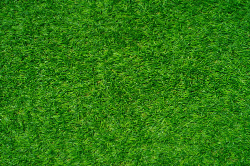 Residential Artificial Turf